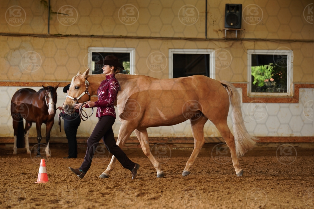 s_A9_02727.jpg